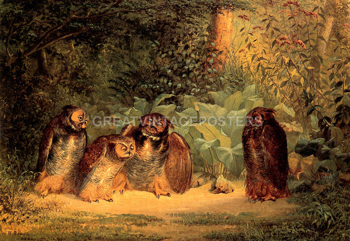 OWLS TALKING BY WILLIAM HOLBROOK BEARD ON CANVAS REPRO